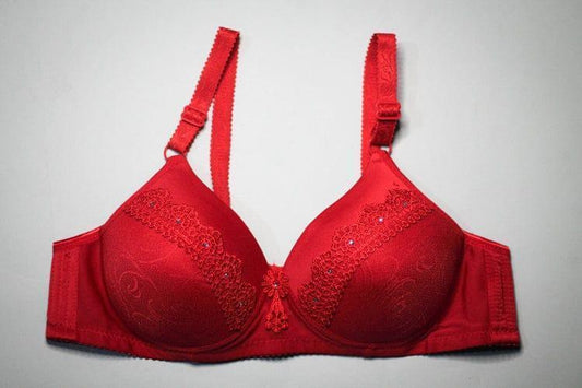 Chic Nylon Lace Work Padded Full Cup Bra