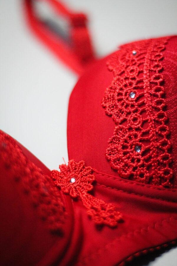 Chic Nylon Lace Work Padded Full Cup Bra